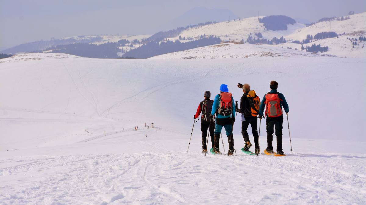 How to Choose Your Snowshoes: 2025 Guide