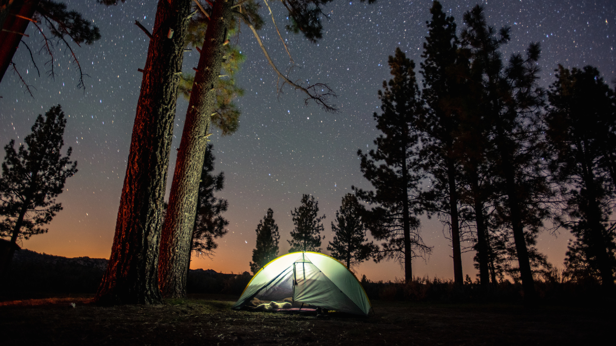 Checklist for Your First Night in the Wild