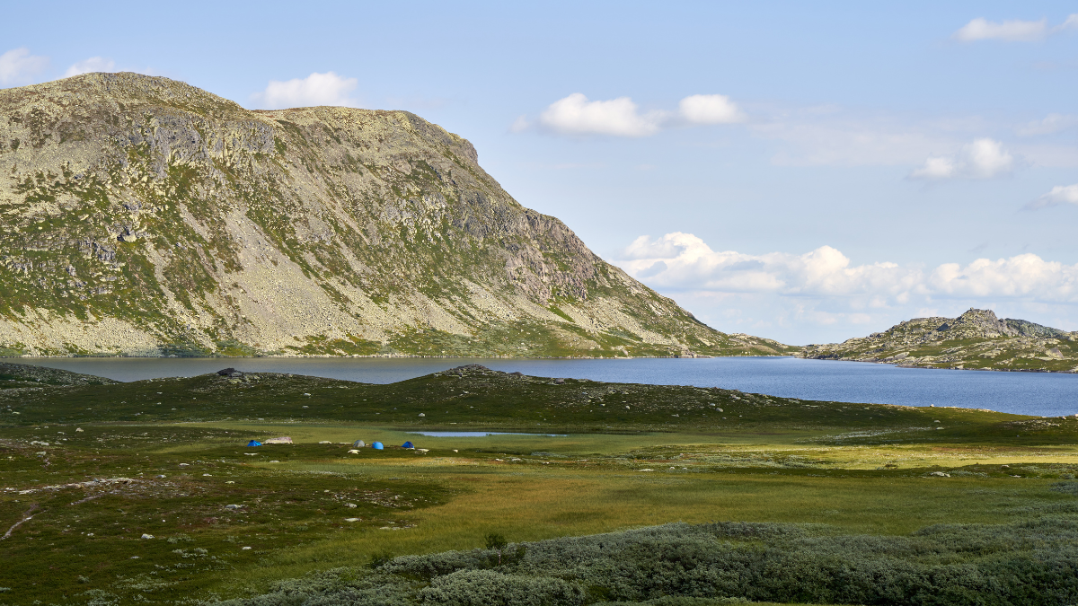Wild Camping vs. Campsites: Which to Choose?