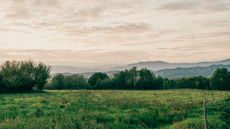 Van Life: Interview with an Adventurer