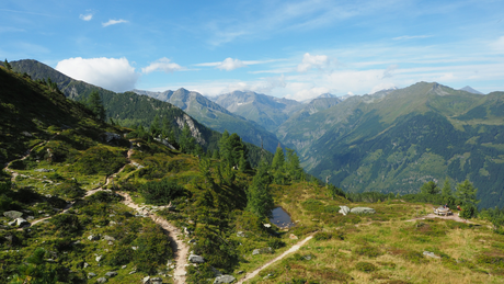 Customer Interview: Why I Chose the Outdoor Life