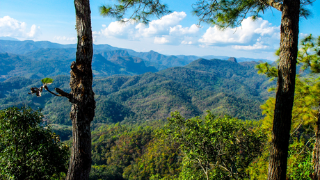 Camping Knot Tutorials