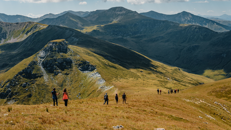 Top 5 Outdoor Activities for the Whole Family