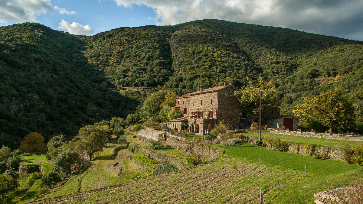 The Best Places to Observe Wildlife in Spring: Marvel at Nature Awaken ...