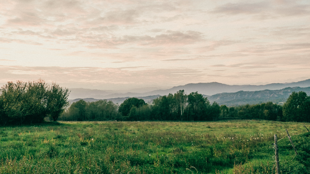 Van Life: Interview with an Adventurer