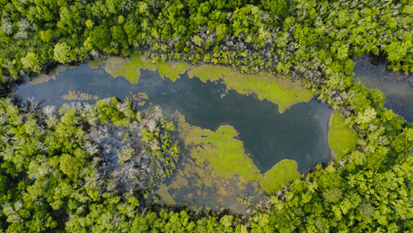 How to Choose the Right Water Filter for Your Adventures