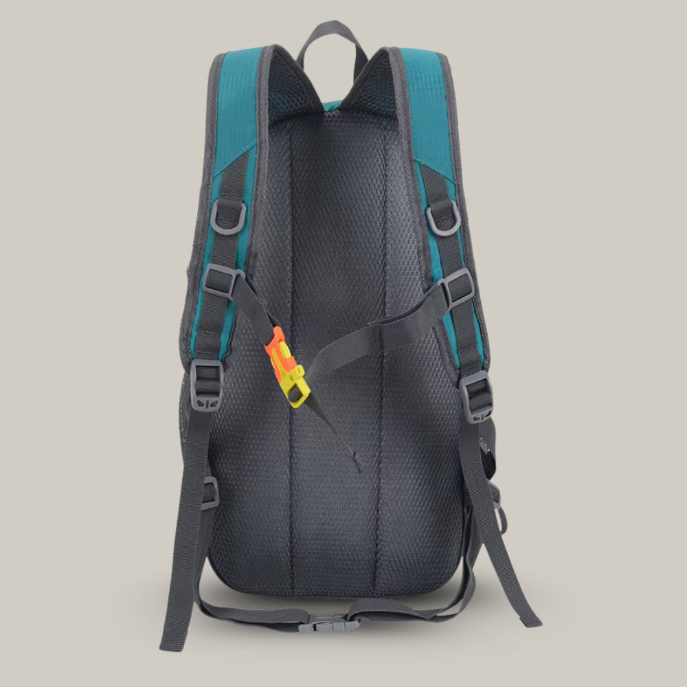 Backpack 20L